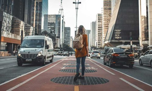 Economic History: A Journey through the Pathways of Growth