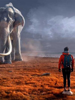 The Last Elephant On Earth